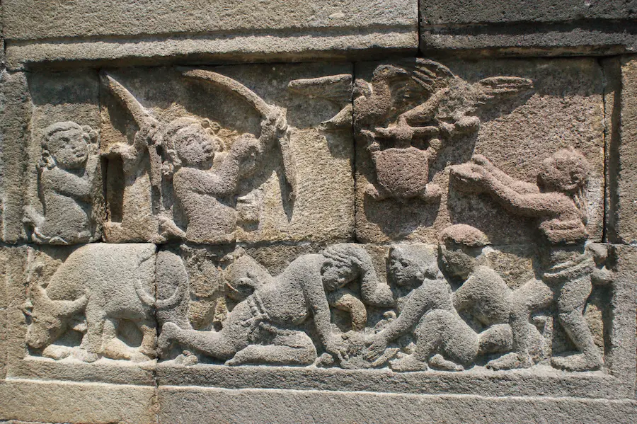 『旧雑譬喩経』鳥と亀の説話